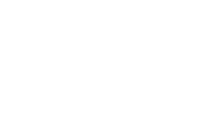 Solverde logotipo